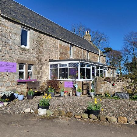 Scooniehill Farm House B&B セント・アンドルーズ エクステリア 写真