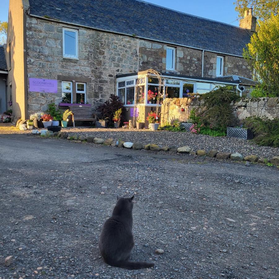 Scooniehill Farm House B&B セント・アンドルーズ エクステリア 写真