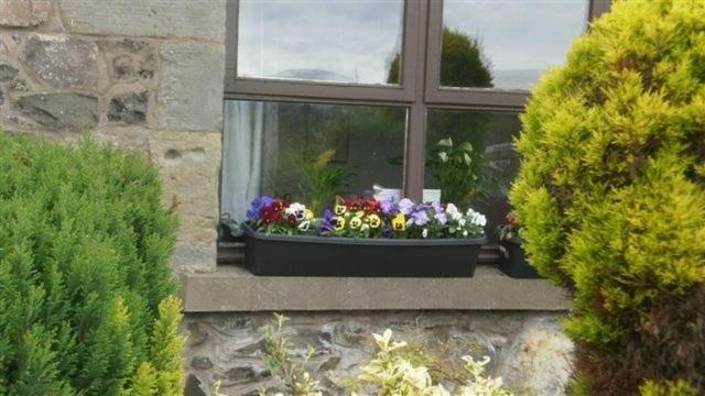 Scooniehill Farm House B&B セント・アンドルーズ エクステリア 写真