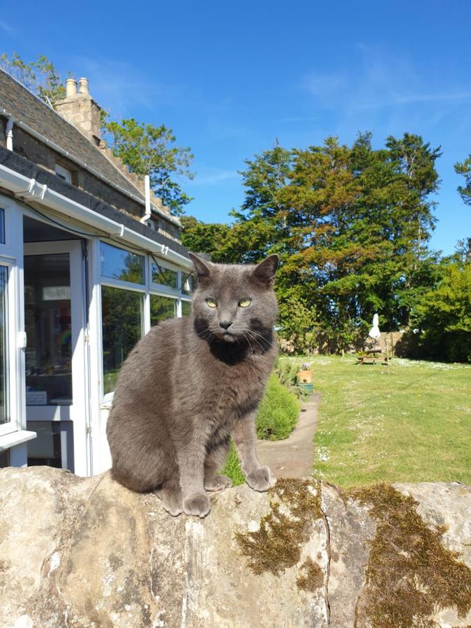 Scooniehill Farm House B&B セント・アンドルーズ エクステリア 写真